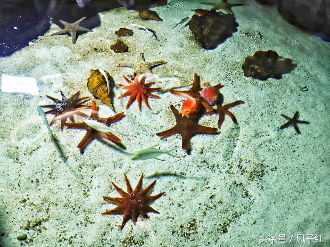 福州避暑网红景点前十名,福州夏天周边游景点推荐最新