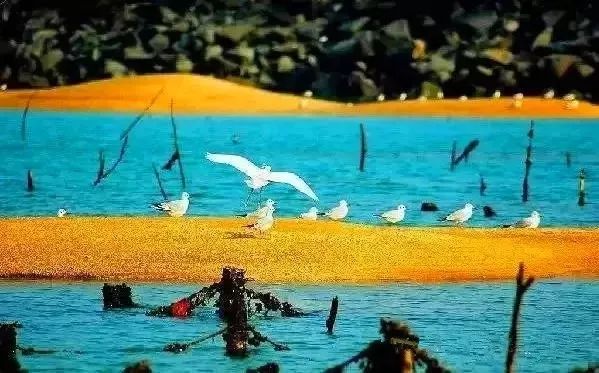 马尔代夫的蓝天绿树水清沙白,北京周边绝美海滩