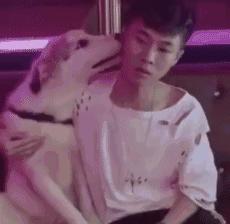 自动扶梯的动力来自于哪里,自动扶梯动力强吗