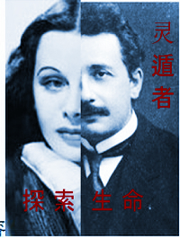 生命的起源与进化生物视频,生命的起源与进化历史纪录片