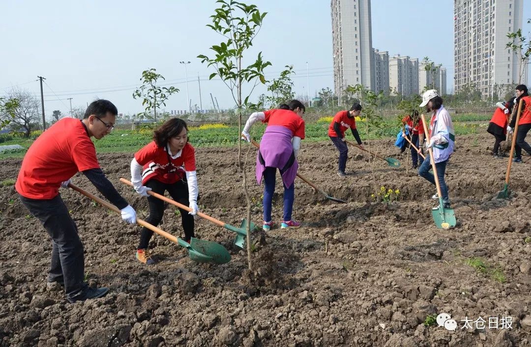 未来三年，太仓生态环境怎样变得更好？这里有答案~