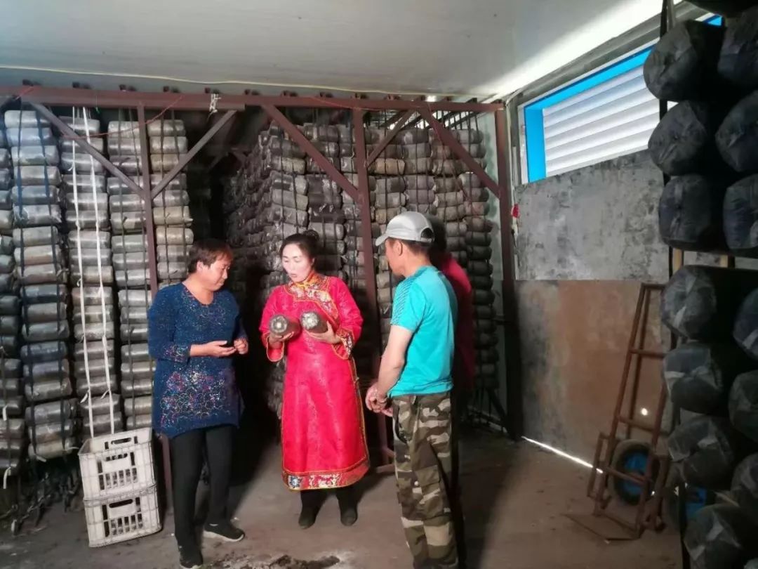 脱贫攻坚一线巾帼风采——莫旗杜克塔尔村妇联主席孟玲桃