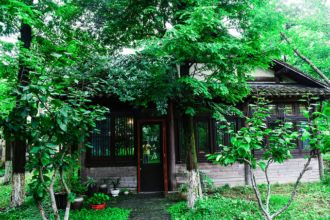 乌村暑期夏令营，吃喝玩乐在这里