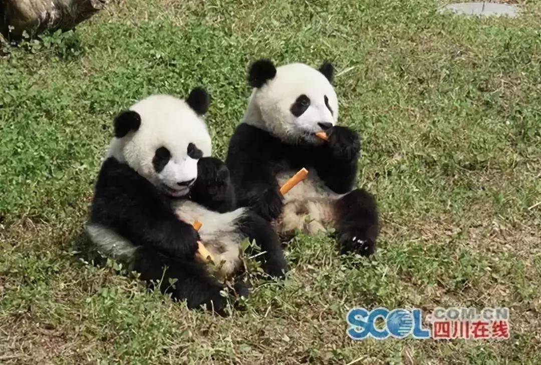 早知天下事新闻最新,早知天下事新华网