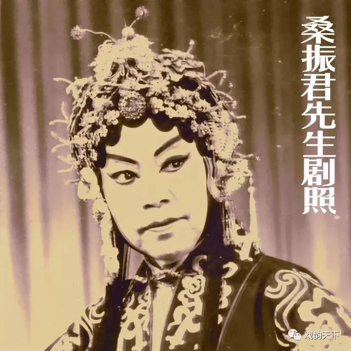 桑振君唱段马金凤,豫剧桑振君投衙全剧