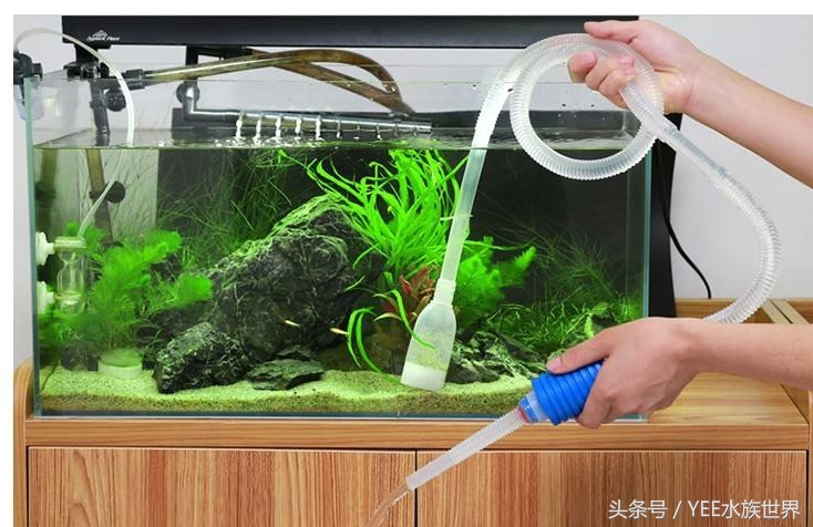 鱼缸不换水能加一点点高锰酸钾吗,鱼缸不换水杀菌