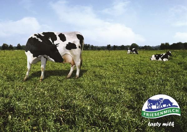 违法奶粉广告视频,奶粉处罚200万后续