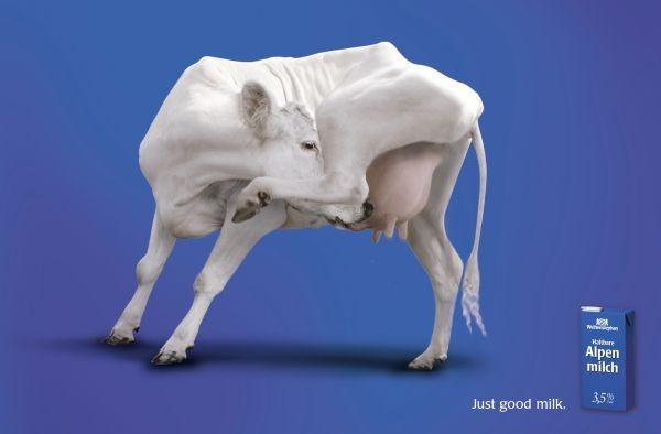 奶粉广告违法案例,网红奶粉被罚10万元