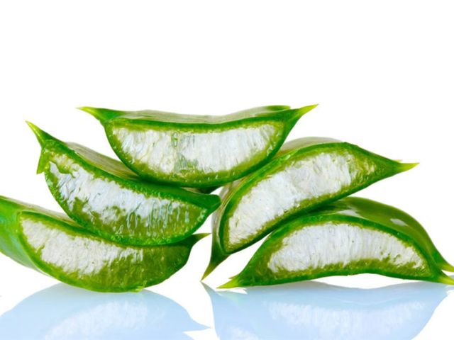 芦荟可以净化空气吗,家中种芦荟利风水吗