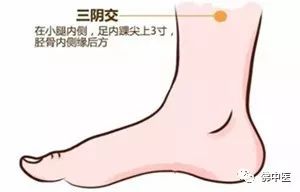 「传统医药日」秋冬预防季节性疾病，巧用艾条“自灸”益处多