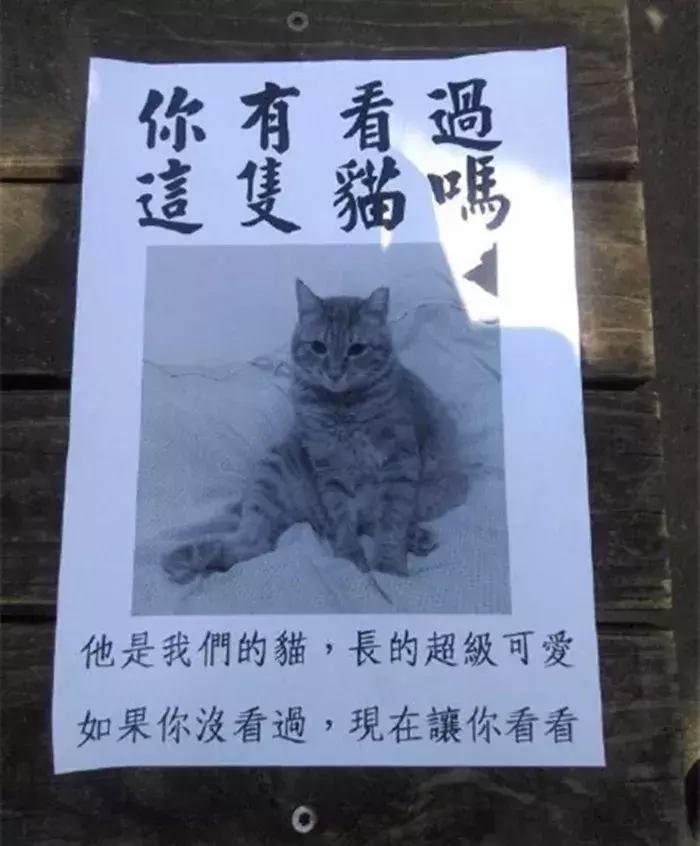 铲屎官带17只哈士奇回家过年,哈士奇离家出走被警察抓