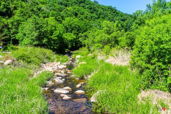 抚顺攻略,抚顺深度游攻略游记