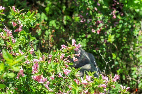 涓囧瓧鏀荤暐,涓囧瓧瑙ｆ瀽鏀荤暐