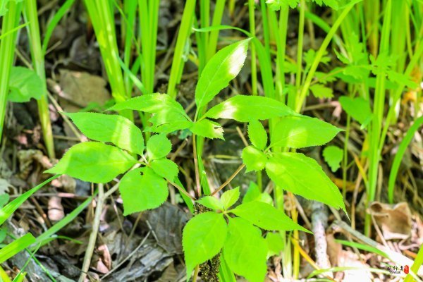 涓囧瓧鏀荤暐,涓囧瓧瑙ｆ瀽鏀荤暐