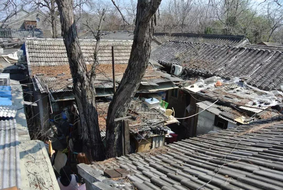 青山周平民宿设计图,四合院民宿青山周平