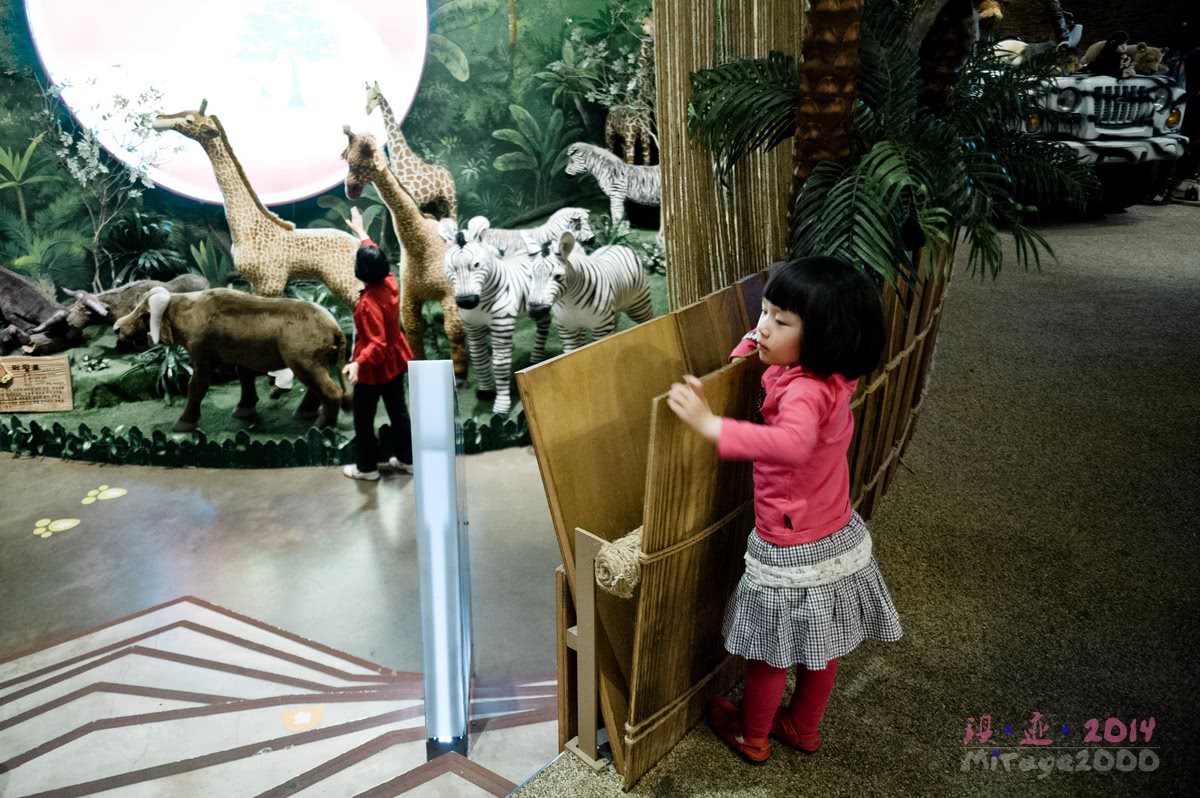 泰迪熊博物馆济州岛拍照攻略,济州岛假泰迪熊博物馆