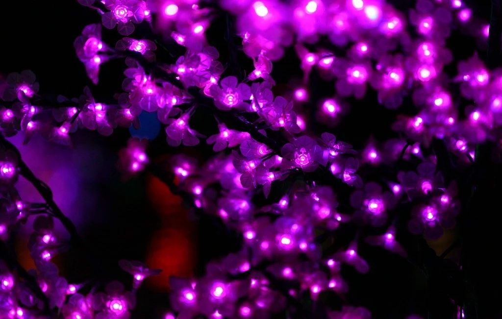 云南春节火把节,云南过完火把节不过春节了吗