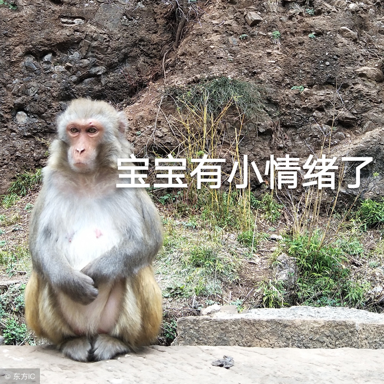 乒乓球各种奇葩人,乒乓球那些奇葩对决