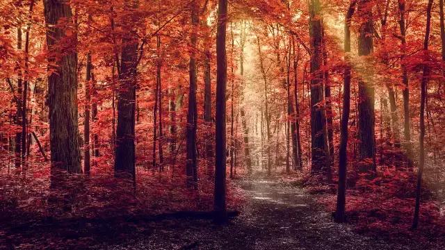 中国红大气豪迈热情洒脱,中国红霸气文案