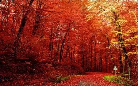 中国红大气豪迈热情洒脱,中国红霸气文案