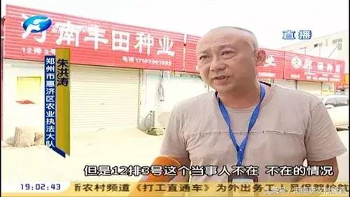 天天315商品,天天315玉米种介绍