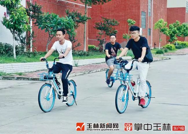 关注ta啥意思,玉林创业商机