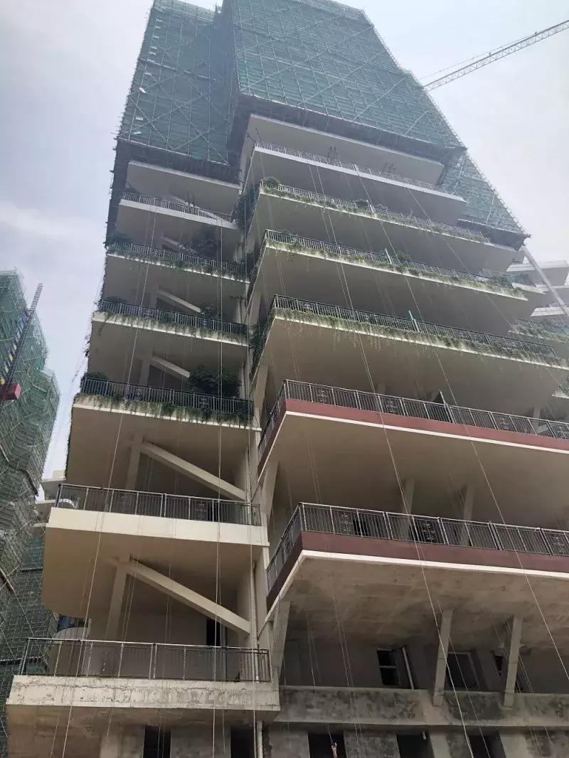 得了吧！除了瞎嚷嚷，你根本不懂什么是城市森林花园