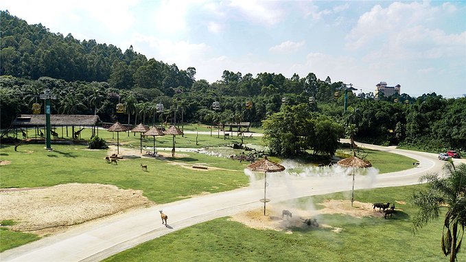 带小孩去长隆欢乐世界畅玩一天,暑假带娃去广州长隆野生动物世界