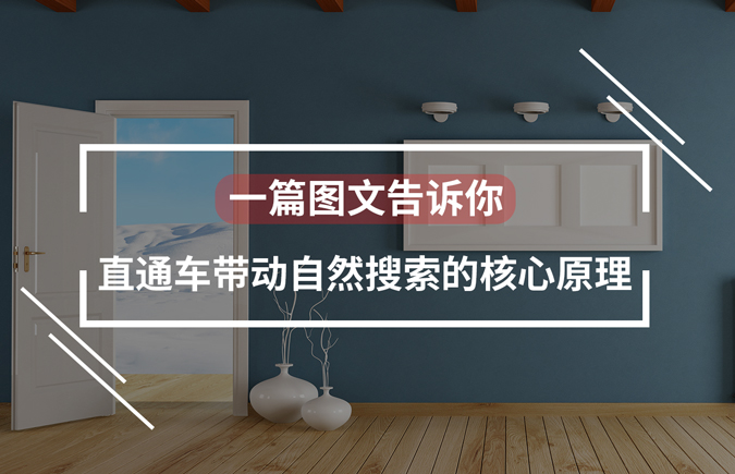 直通车1:3拉爆自然搜索流量,直通车标准计划怎么提升自然搜索