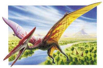 你认识的恐龙有哪些,怎样认识恐龙的种类