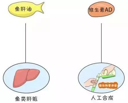 补维生素d还是维生素ad,维生素AD该怎么补