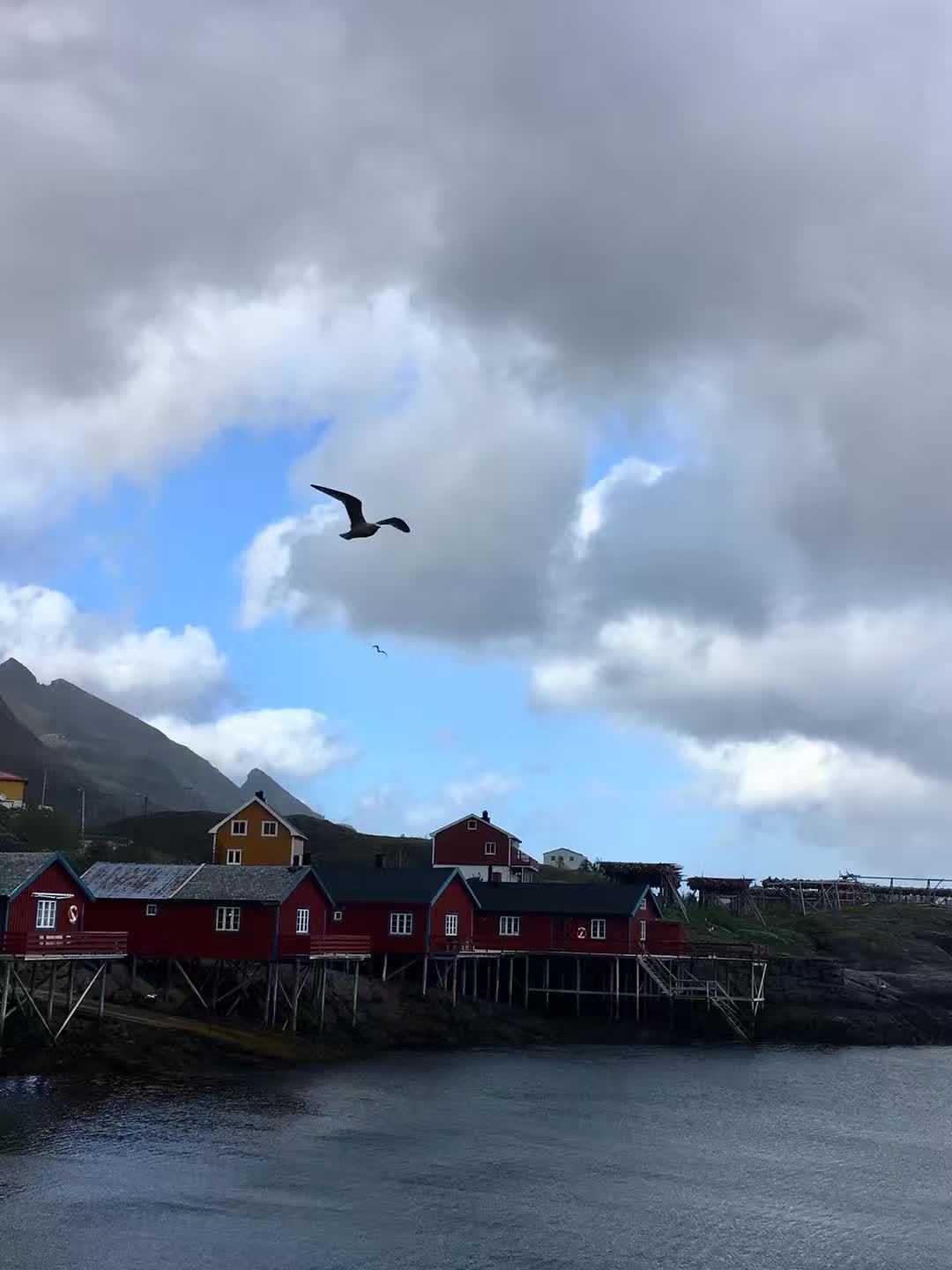 相片背后的光｜我与儿子的约定—《下篇》