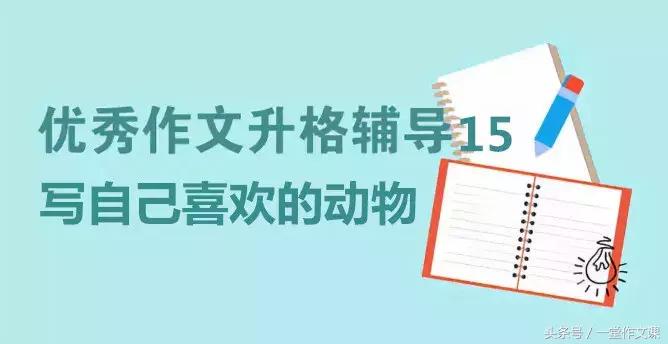 三年级作文写小动物优秀范文,写你最喜欢的动物三年级优秀作文
