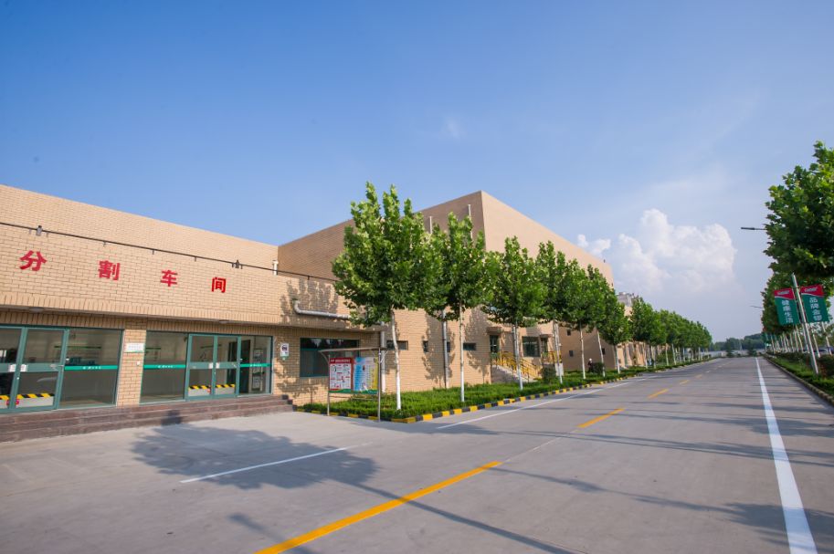 *局破**猪周期的“金锣模式”