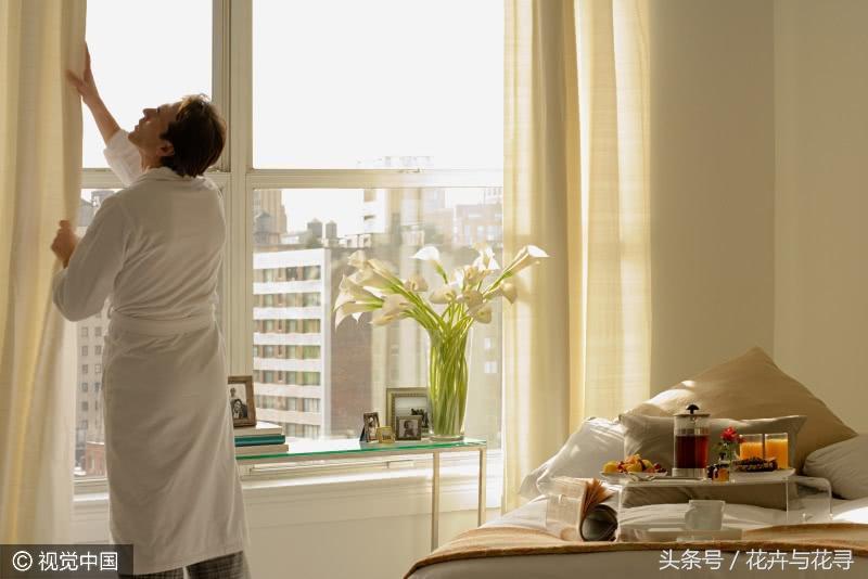 通风的环境对月季有什么好处,家里养花怎么才能做到通风好