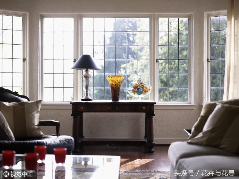 通风的环境对月季有什么好处,家里养花怎么才能做到通风好