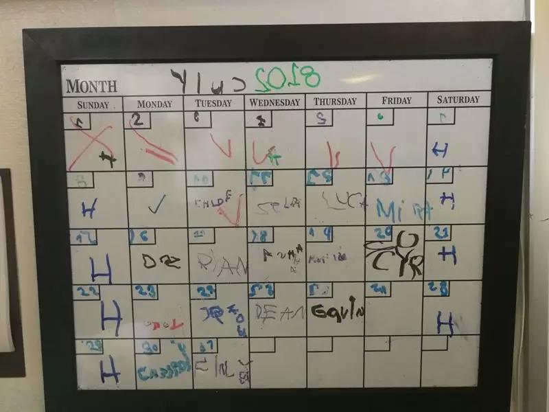 美国和中国幼儿园比较,中国幼儿园和美国幼儿园视频交流