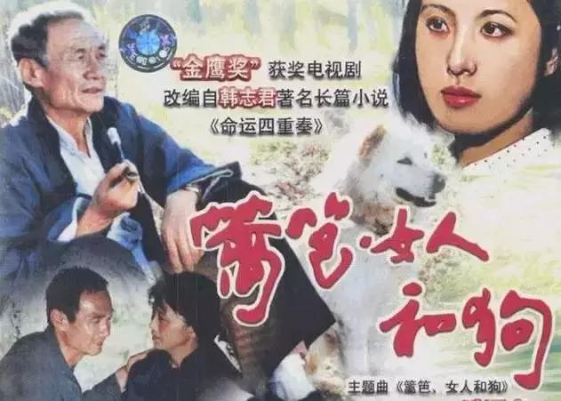 708090后的怀旧经典电视剧,7080的经典电视剧有哪些