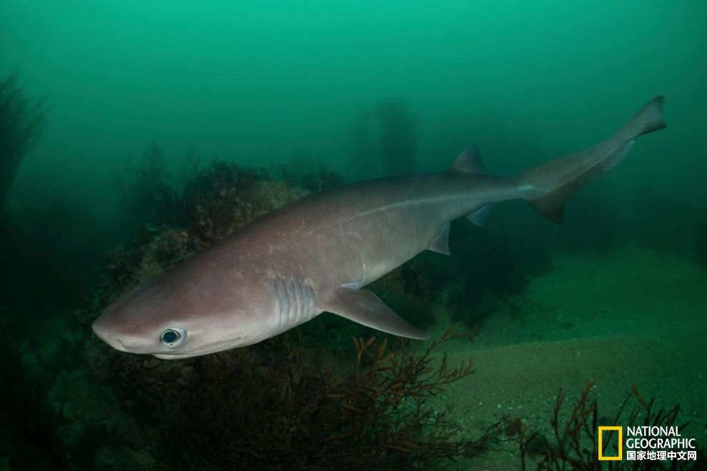 一支防晒霜还需要一顶帽吗,一支防晒霜需要多少帽子