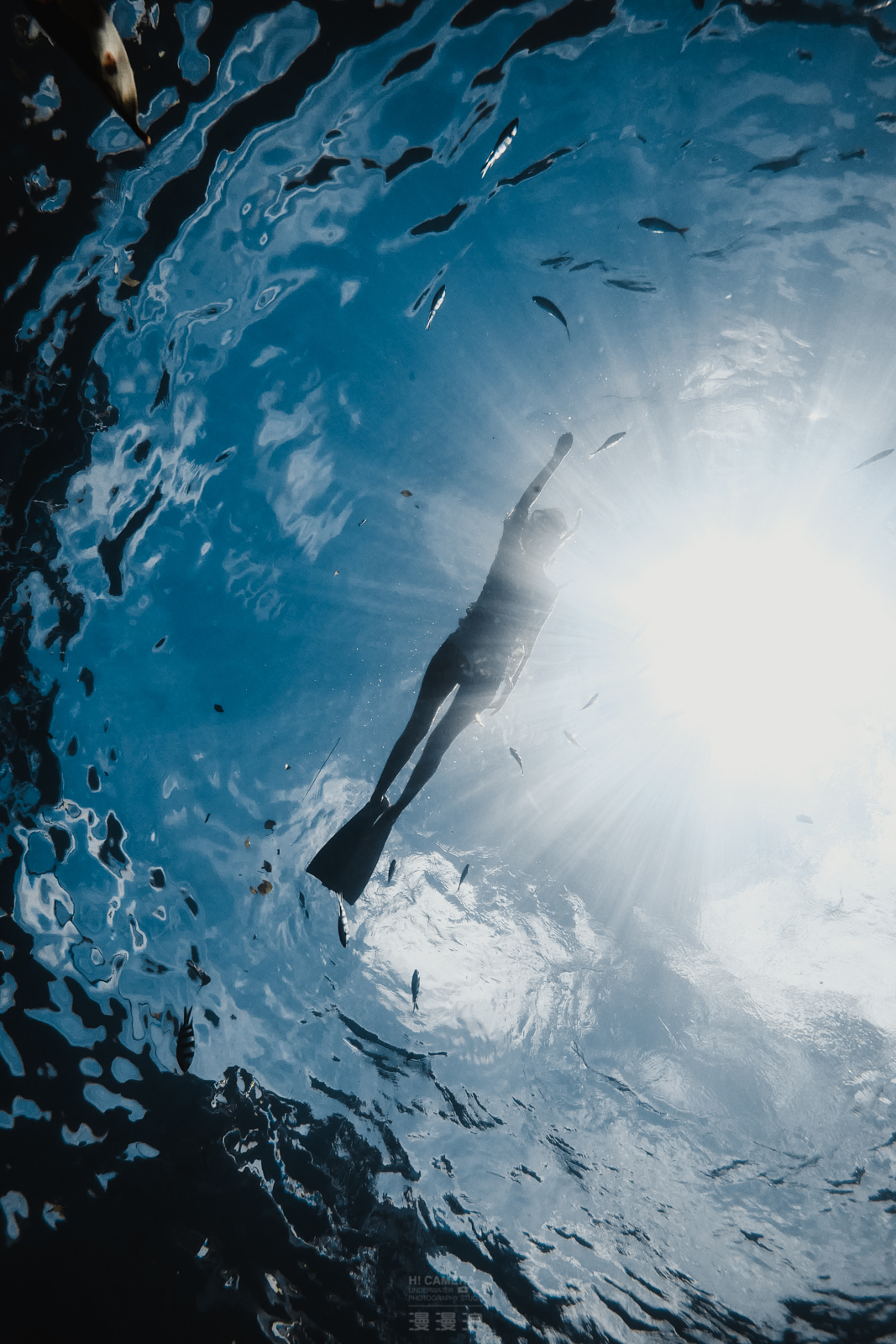 帕劳旅游攻略,帕劳自由行最佳路线