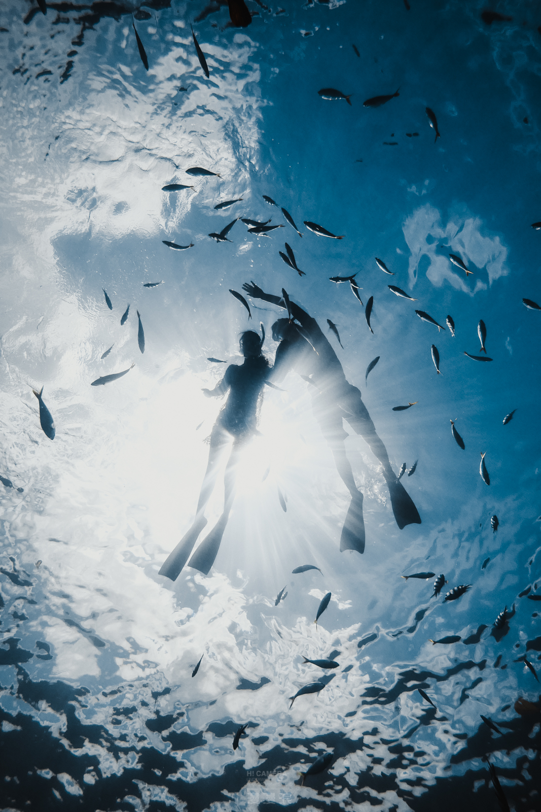 帕劳旅游攻略,帕劳自由行最佳路线