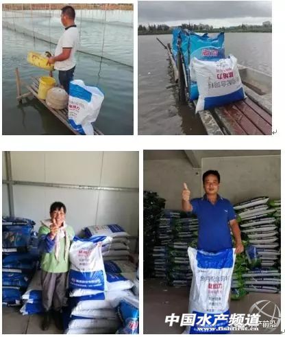 可以用于水产养殖的饲料,水产养殖功能性饲料