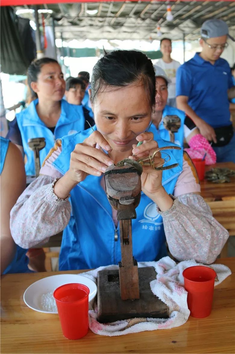 这，就是女神｜梁萍萍：立志振兴南珠的“养珠人”