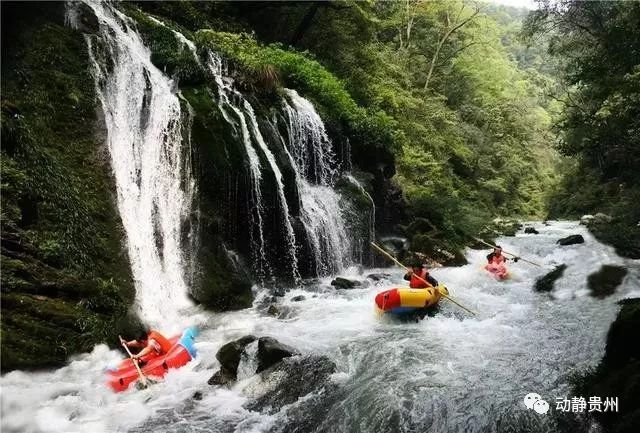 贵州桐梓漂流最好玩是哪个,贵州漂流前10名排行榜