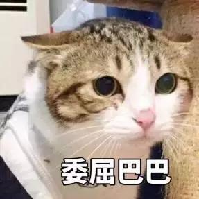 对不起，我劝你千万别去从化，不然会后悔……