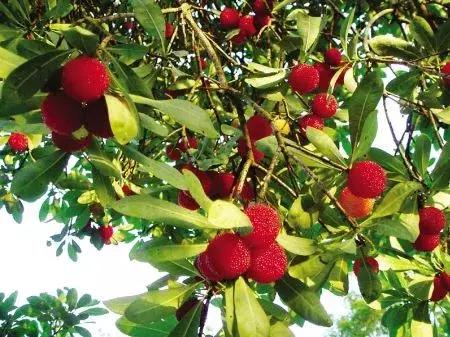 对不起，我劝你千万别去从化，不然会后悔……