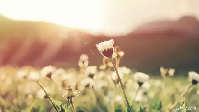 素食治好癌症,素食治愈癌症