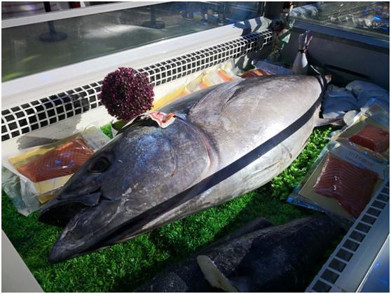 世界杯结束凯旋,世界杯繁华落幕