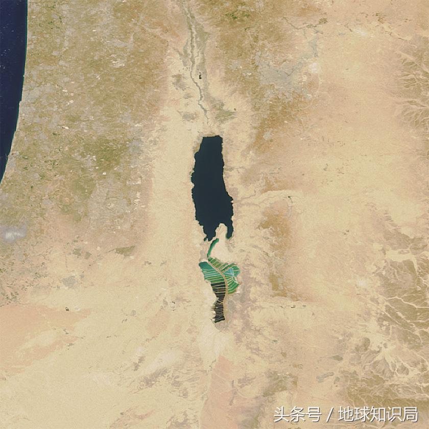 以色列为什么欺负巴勒斯坦,以色列为什么欺负叙利亚