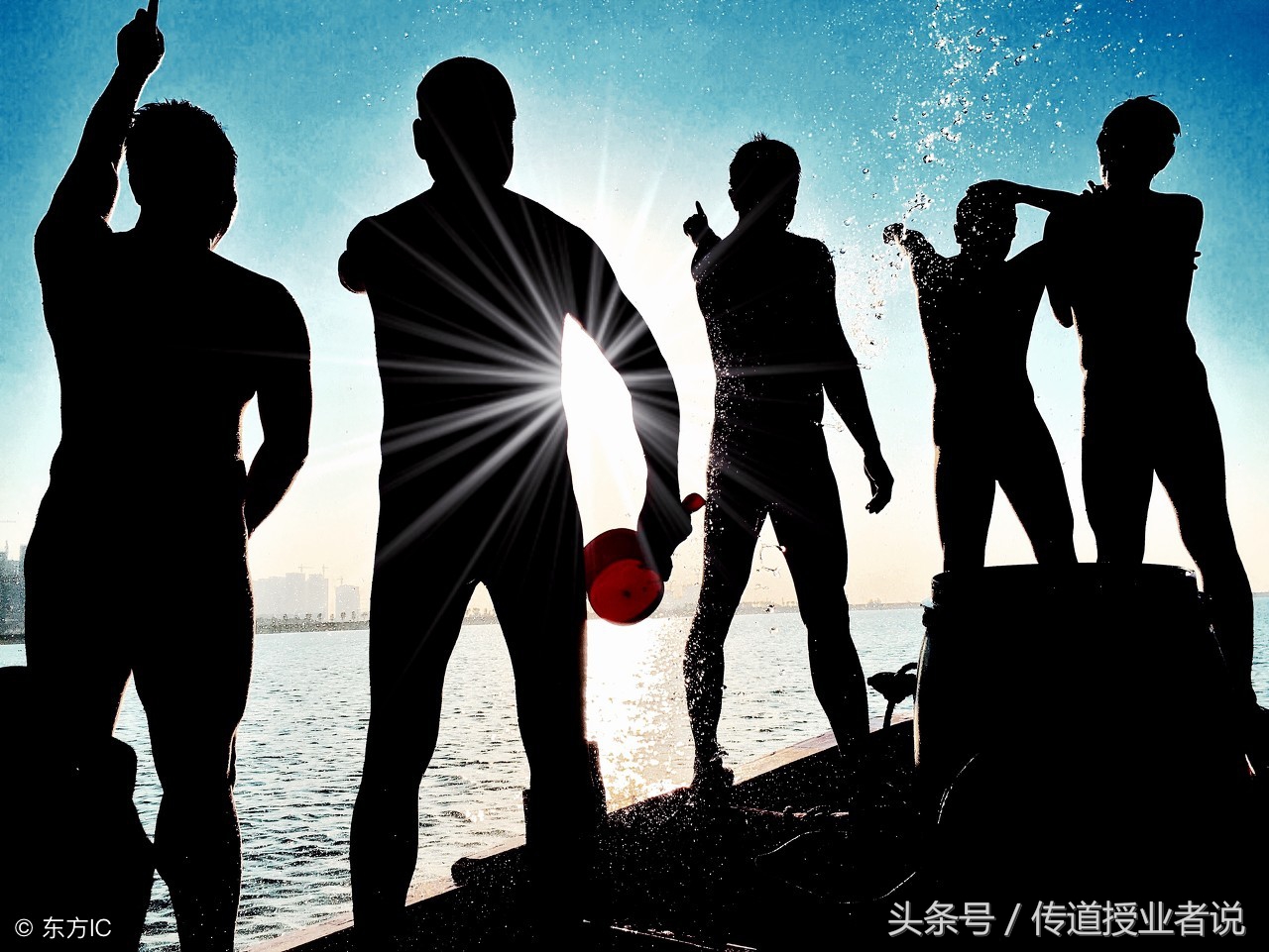 三年级优秀作文写动物200字以上,我喜欢的动物600字优秀作文记叙